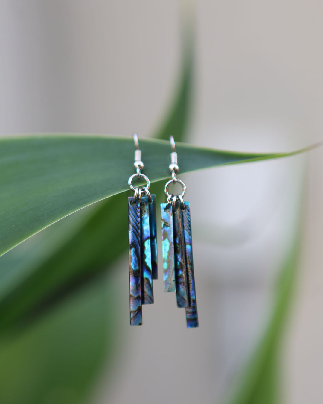 Iere - Paua Earrings